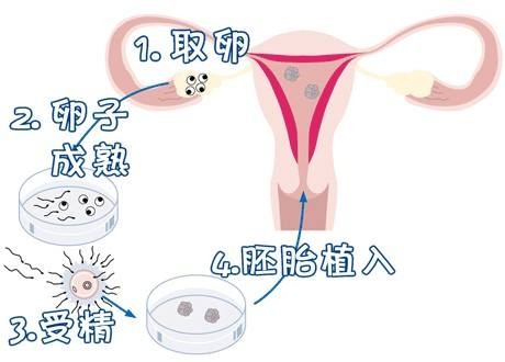 王医生
